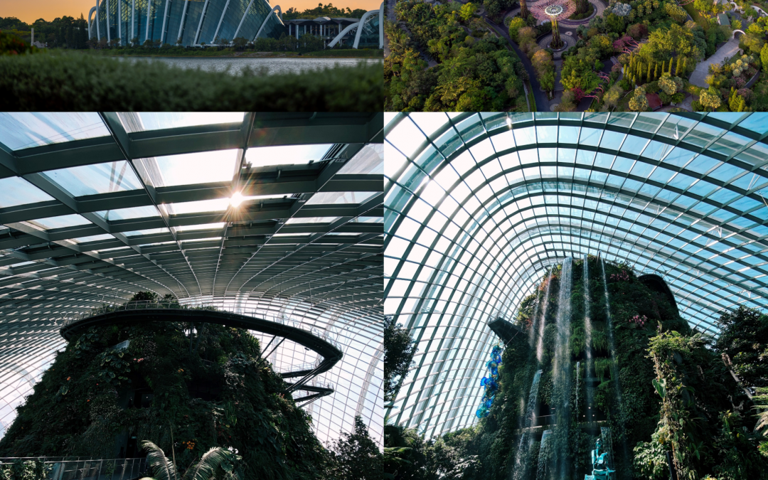 “SUSTAINABLE DESIGN ATTRACTS CUSTOMERS”